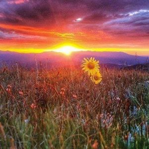 Meet your Posher, Lauri